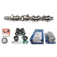 Camshaft Kit - INA - 42801101018902